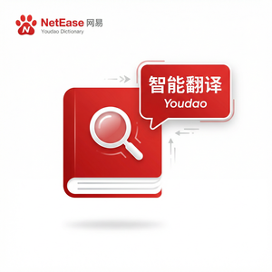 有道词典飞书翻译集成介绍 - 网易有道词典